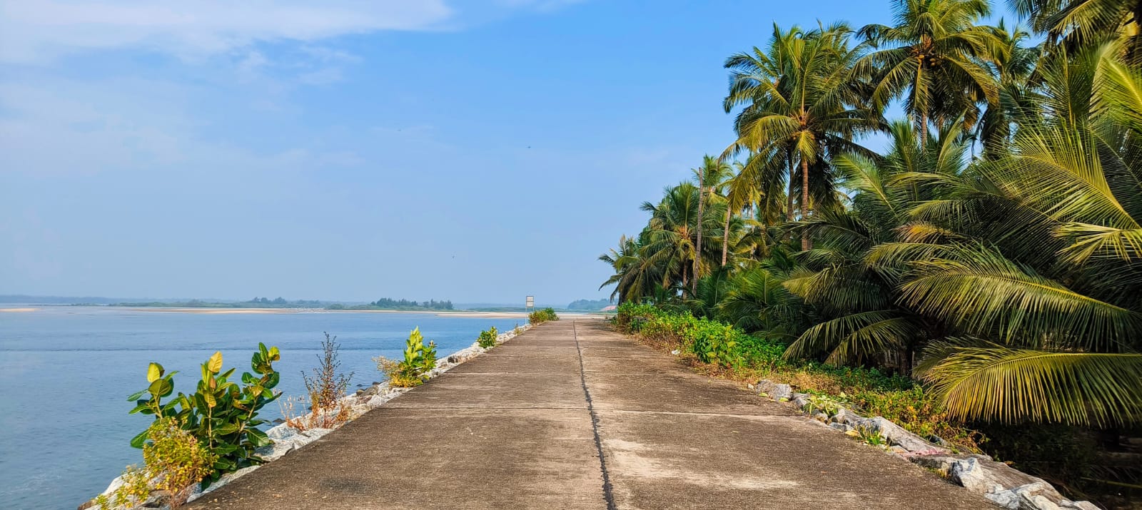 A concrete causeway path lined with coconut palms running out along the Kodi spit beside the calm river backwater