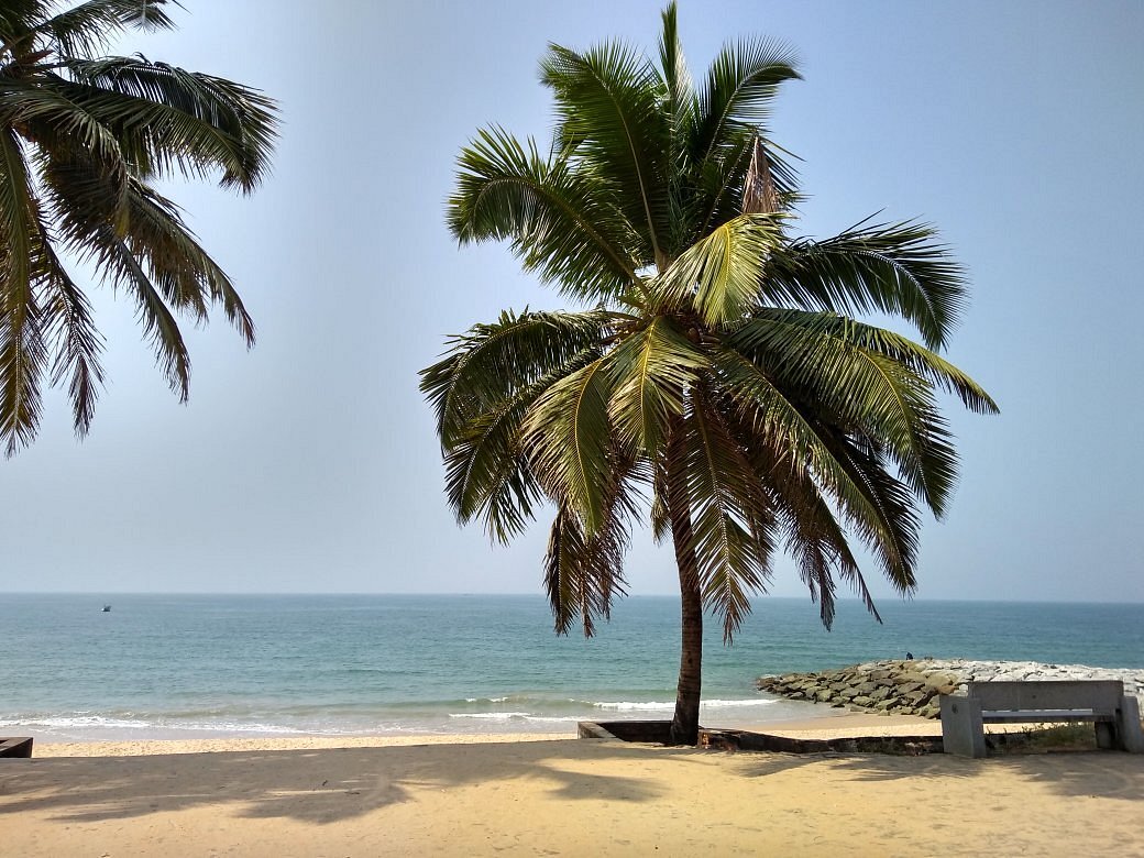 A lone leaning coconut palm on the wide quiet sands of Trasi beach, with a rock groyne and gentle surf beyond under a hazy sky