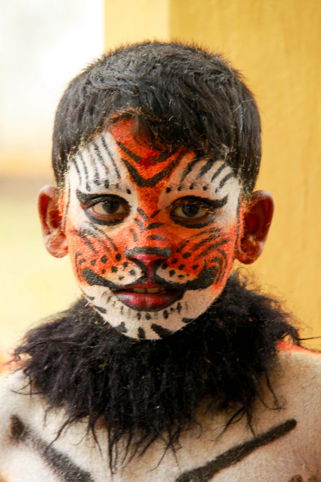 A young boy with his face painted as a tiger and a furred collar, taking part in Huli Vesha