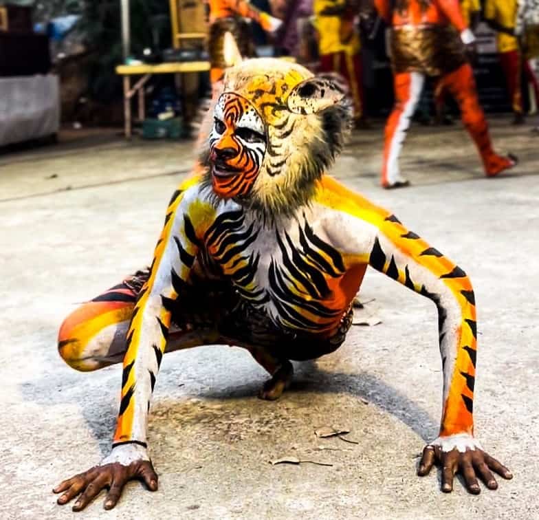 A single Huli Vesha performer in full tiger body paint and a furred tiger mask crouches low to the ground