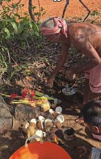 An elder kneeling on the bare earth to lay out small offerings of flowers, leaves and food before a Daiva stone during Jakni