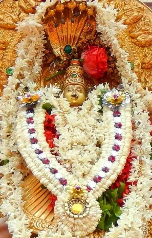 Golden face & naga