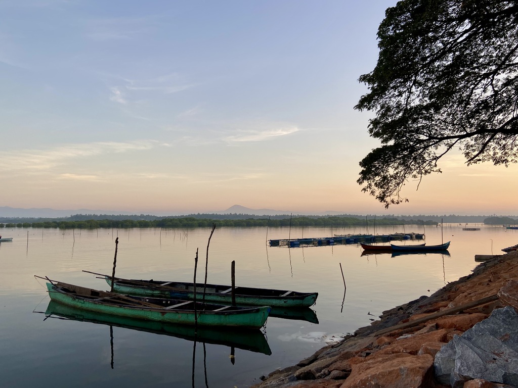 Country boats and fish cages on the estuary at dawn with the Western Ghats on the horizon