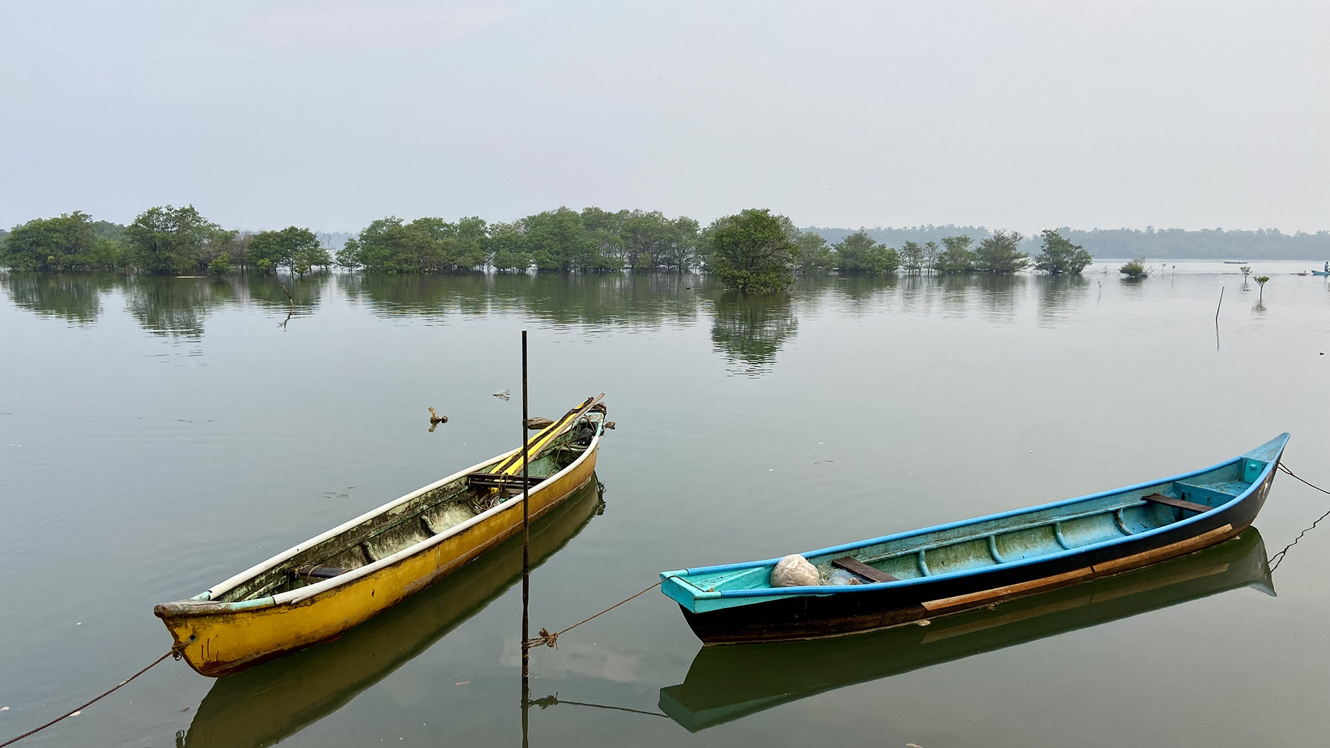 Two moored dugout canoes on a misty morning with a mangrove islet beyond