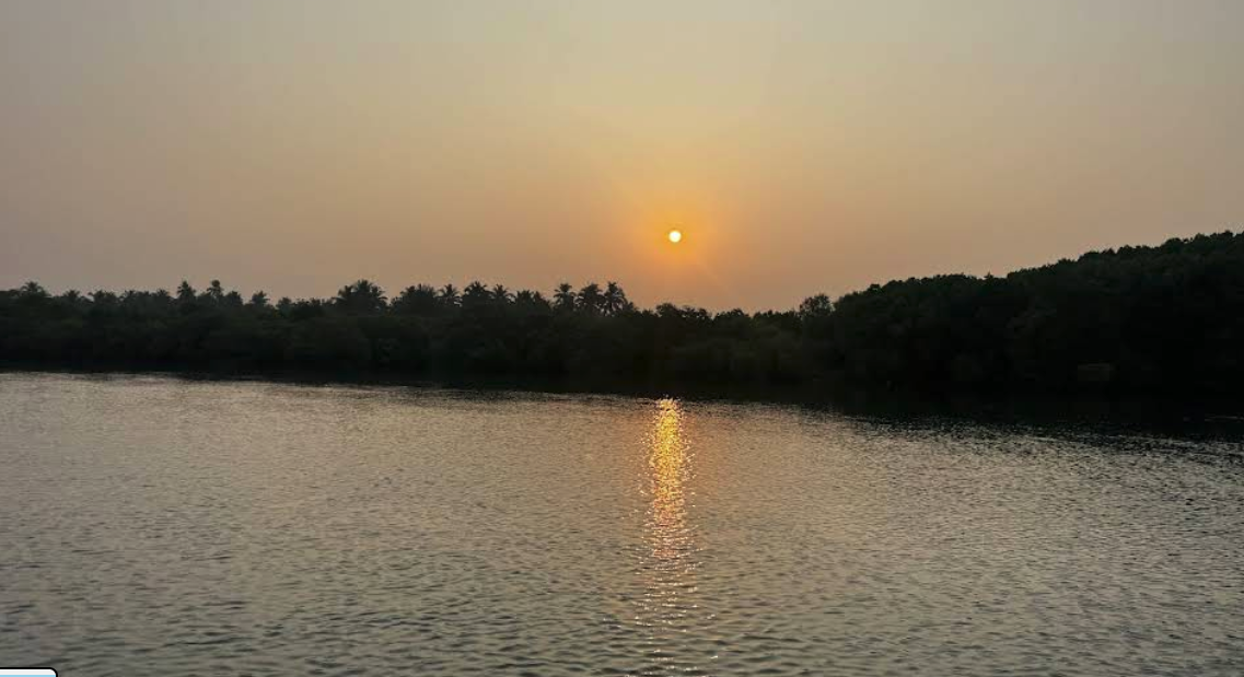 Sunset over the Panchagangavalli with the sun sinking behind a mangrove tree line